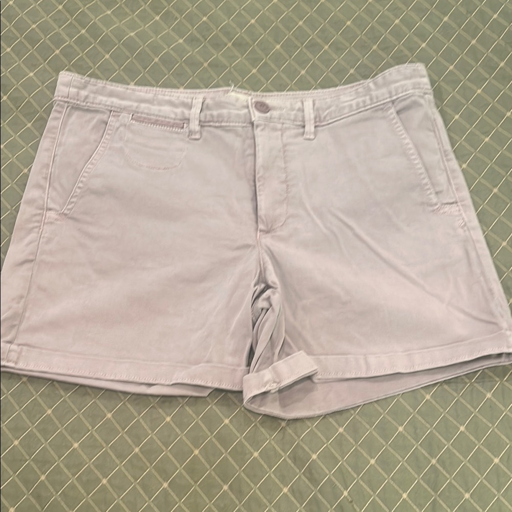 Anthropologie Chino Women's Light Purple Shorts Size 30